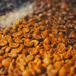 Half-roasted