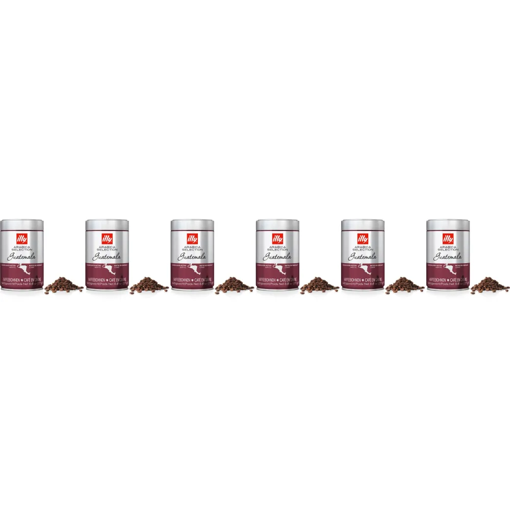 illy Arabica Selection Monoarabica Guatemala - coffee beans - 6 x 250 g