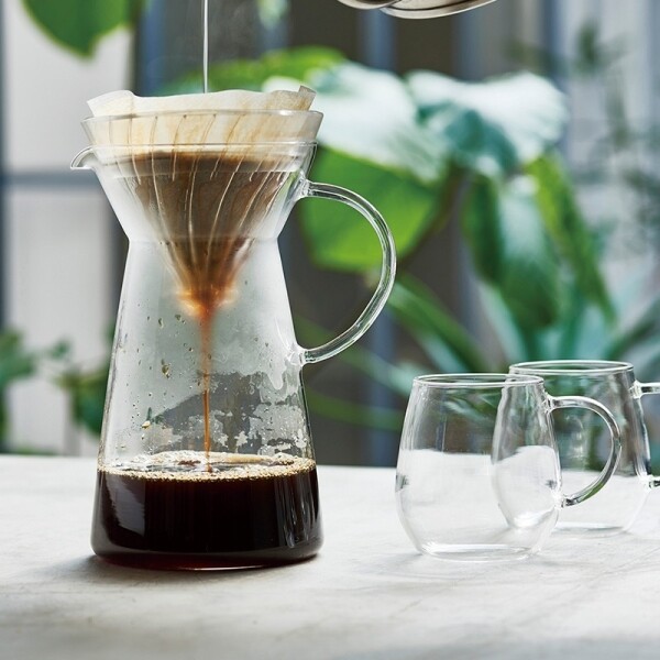 Hario V60 Iced Coffee Maker van glas