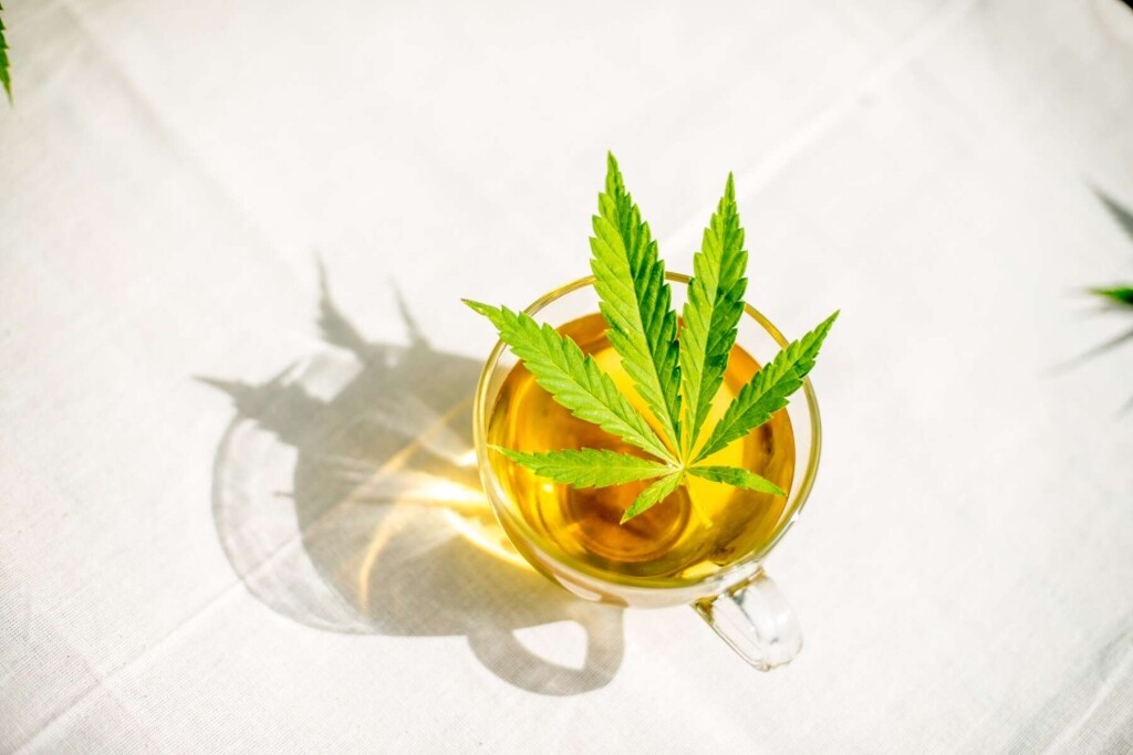 Hemp Chai - Hemp Chai Tea 50g - Dutch Harvest Loose Tea