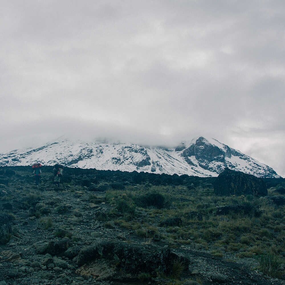 Café du Jour 100% Arabica Tanzania