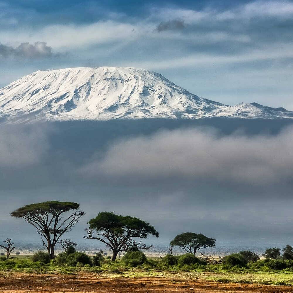 Café du Jour 100% Arabica Tanzania