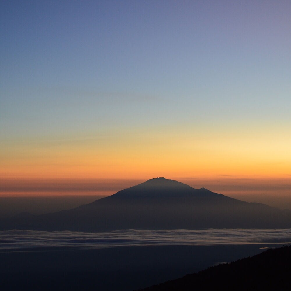 Café du Jour 100% Arabica Tanzania