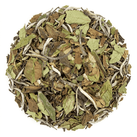 Bai Mudan - White Tea 100 gram - Café du Jour loose Tea