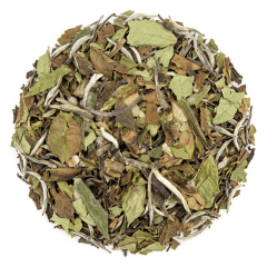 Bai Mudan - White Tea 100 gram - Café du Jour loose Tea