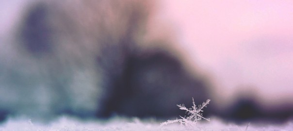 Throwing hot coffee into the air... at -32 degrees